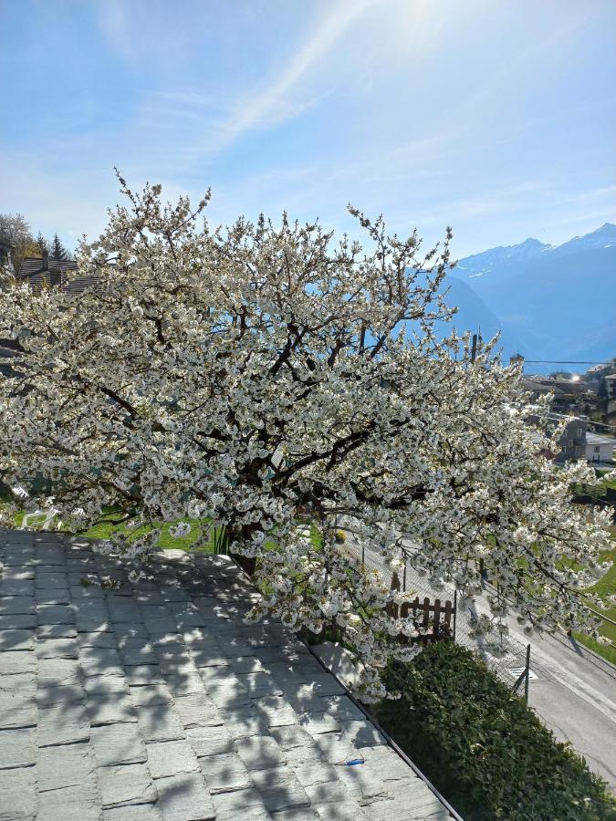 Casa Vacanza Da Ghislin 테글리오 외부 사진